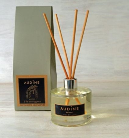 Diffuseur parfum d'ambiance 100ML